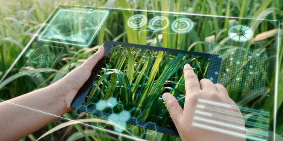 AI in Farming: A Game-Changer for Farmers Everywhere