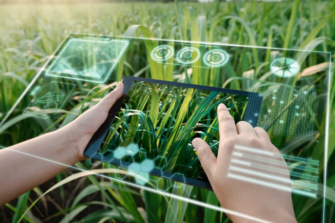 AI in Farming: A Game-Changer for Farmers Everywhere